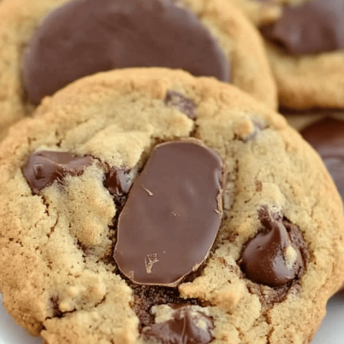 Double Chocolate Chip Cookies