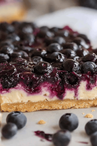 Blueberry Dessert Bars final dish beautifully presented and ready to serve